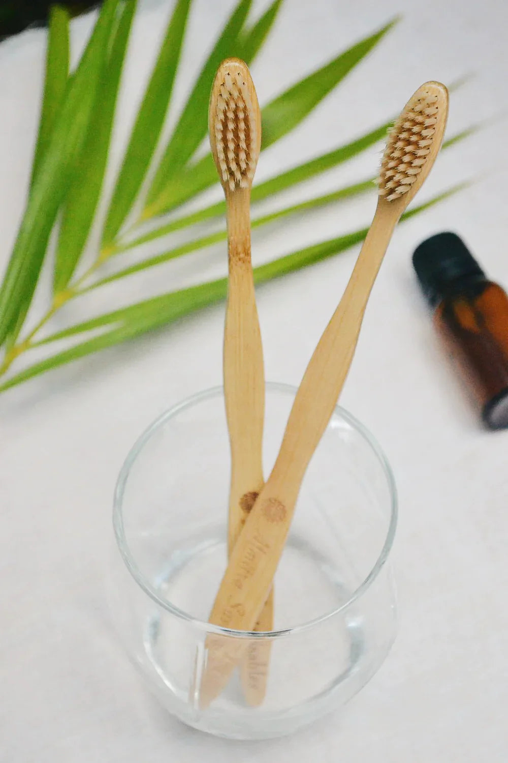 Bamboo Bristle Toothbrush & Tongue Cleaner (pack of 2)